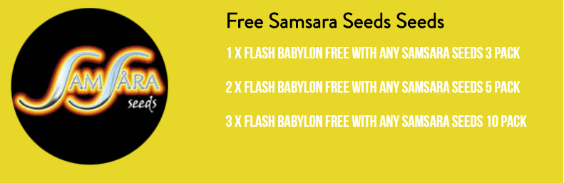 Samsara Seeds Flash Babylon Promo.png