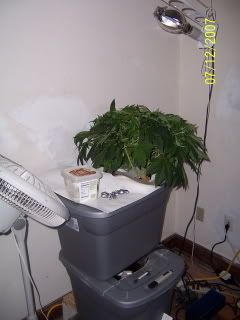 000_1067.jpg