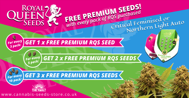 good-news-the-royal-queen-seeds-promo-is-back-rollitup