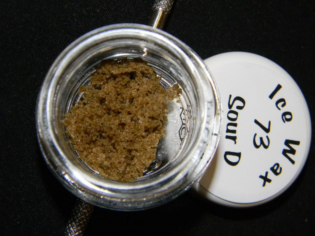 DSCN0511.jpg