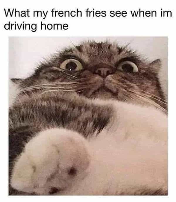 Funniest-memes-of-all-time-26-02-14-2023.jpg