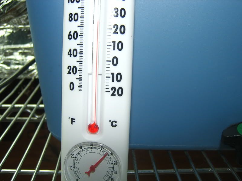 DCAM0047.jpg