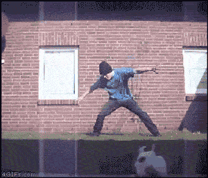 gifs_02.gif
