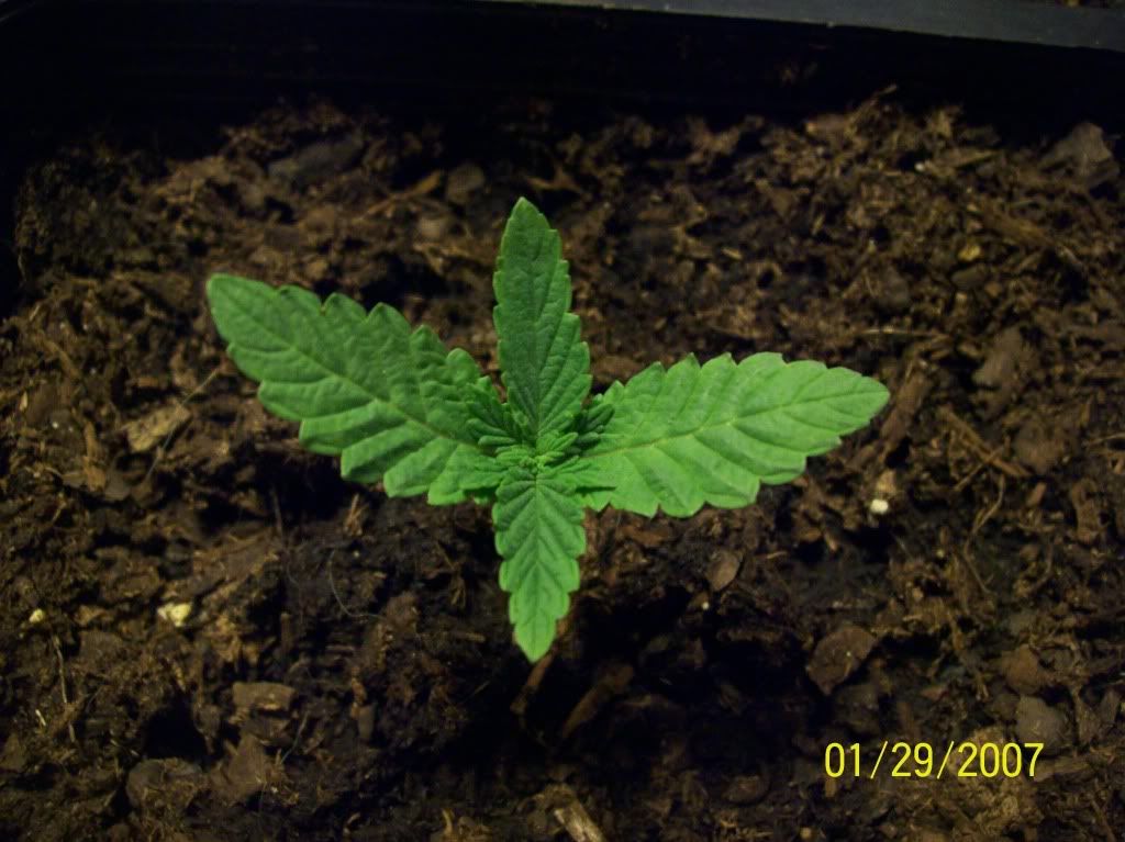 100_7921.jpg