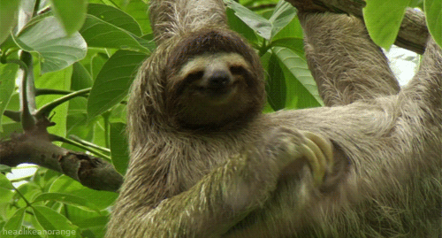 tumblr_mi8reh0zLJ1s5rmrwo1_500.gif