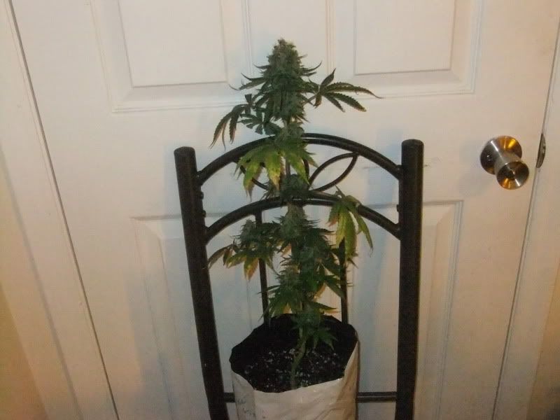 DSCF1121.jpg