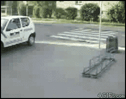 gifs_03.gif