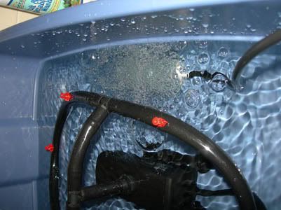 DSCN3587.jpg