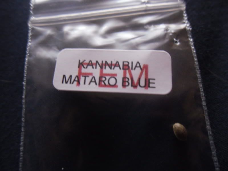 SDC10406.jpg
