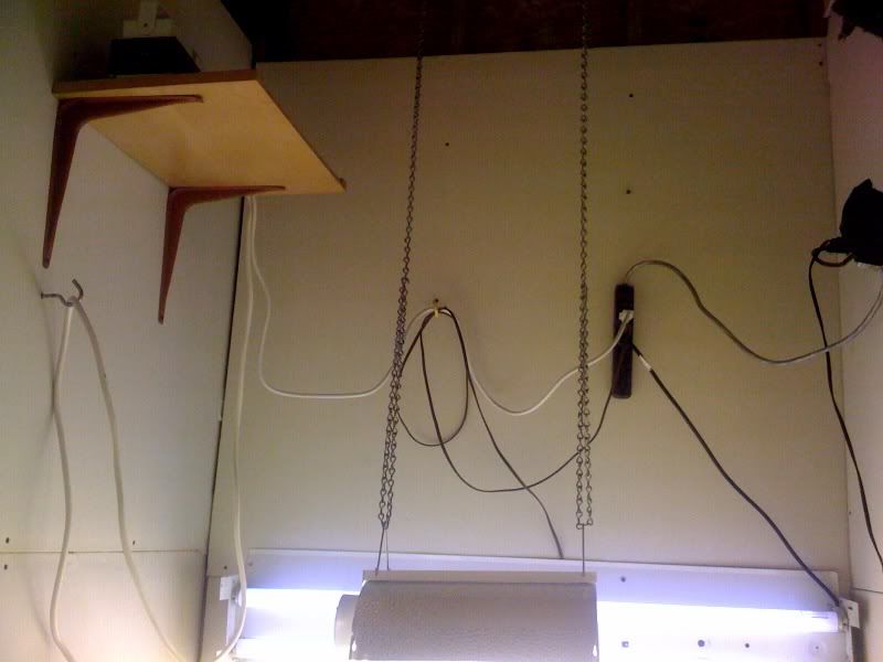 p3.jpg