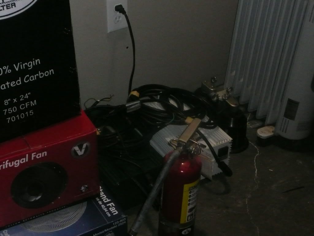 P1050271.jpg