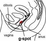 g-spot.jpg