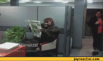 gif-scared-prank-costume-509790.gif