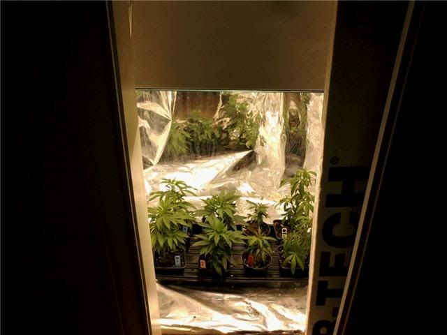1-20growroom.jpg