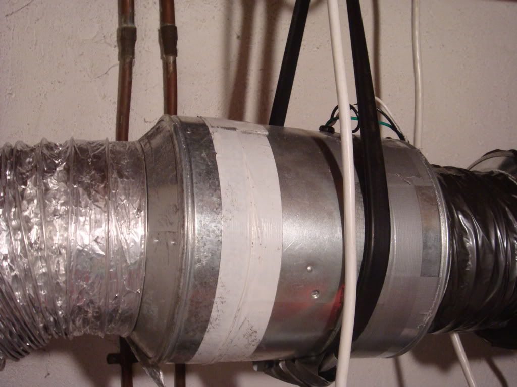 DSC01810.jpg