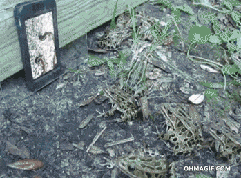 13E80cwUkggiE8.gif