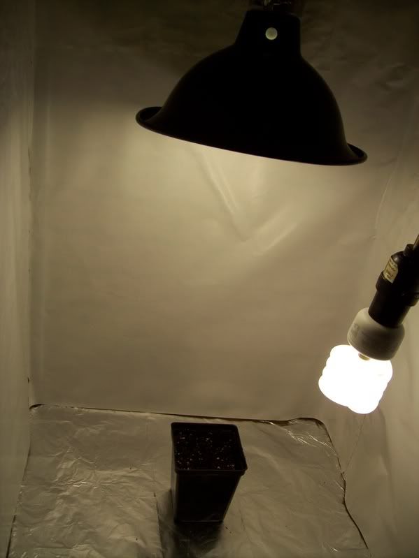 100_1023.jpg
