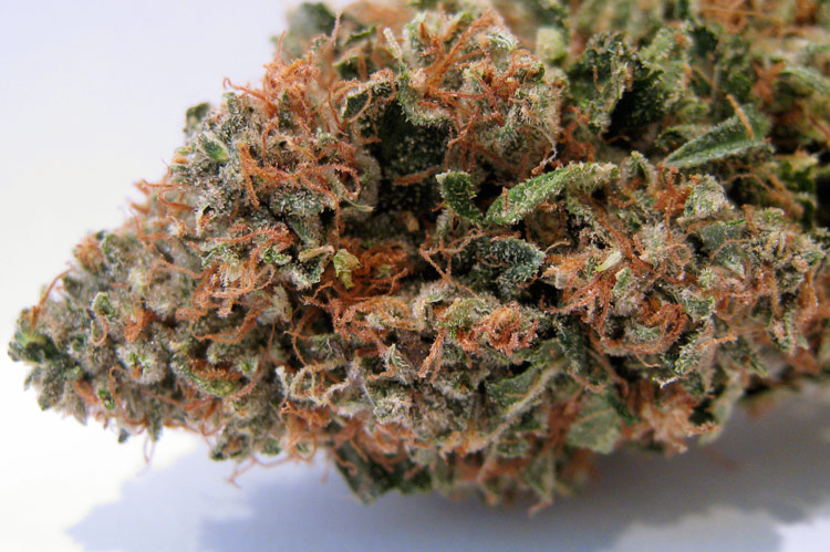 tahoe_og_kush.jpg