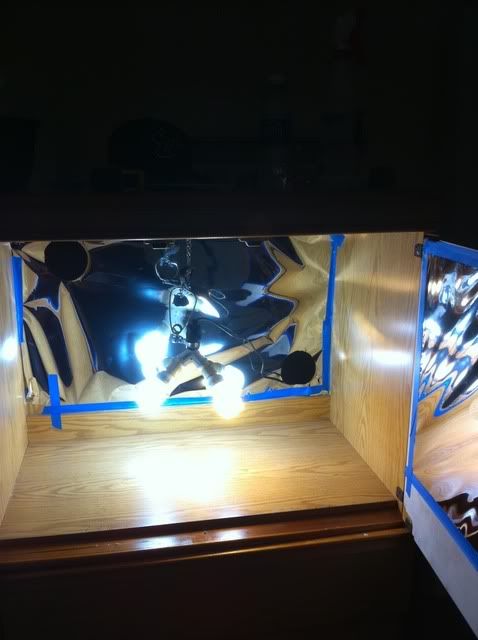 Mylar1.jpg