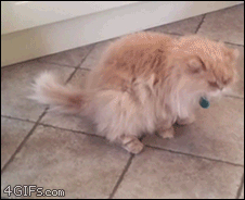 h7HxrOH.gif