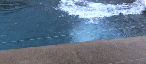 source.gif