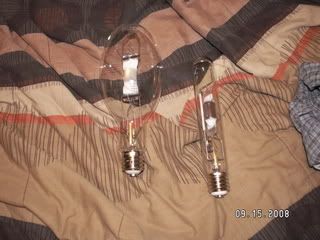 PICT0439.jpg