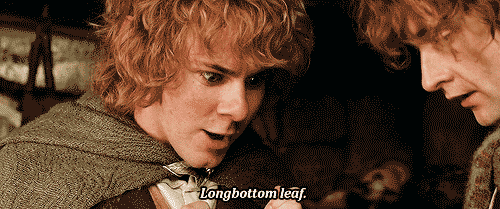 tumblr_mgbi7upKCD1rl06klo6_500.gif