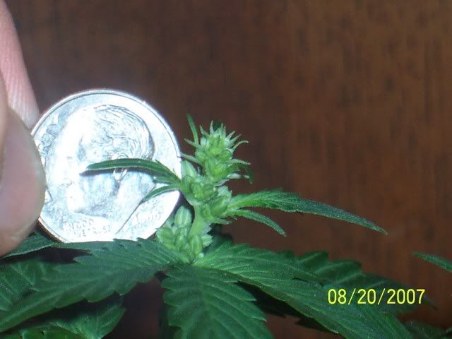 100_5230.jpg