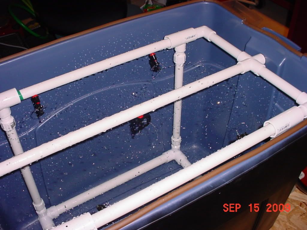 DSC00013.jpg