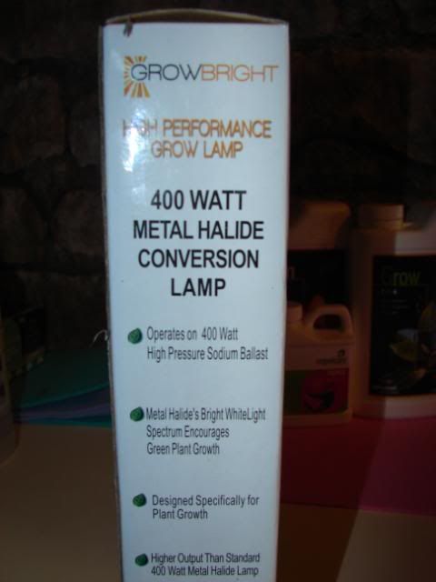 DSC05773.jpg