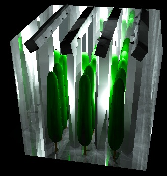 3433.jpg