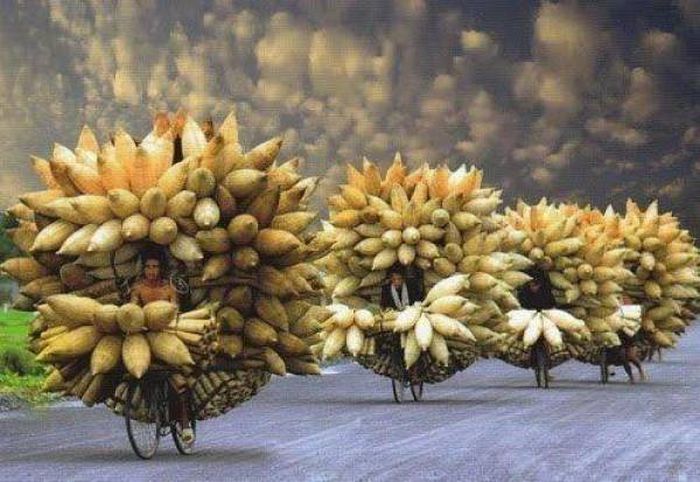 acid_picdump_58.jpg
