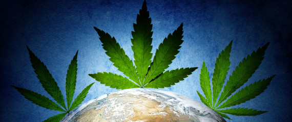 n-MARIJUANA-large570.jpg