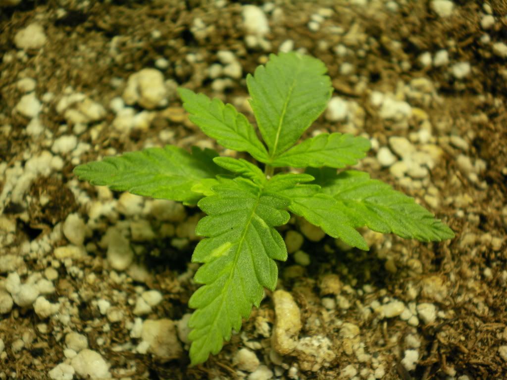 10-12-11004.jpg