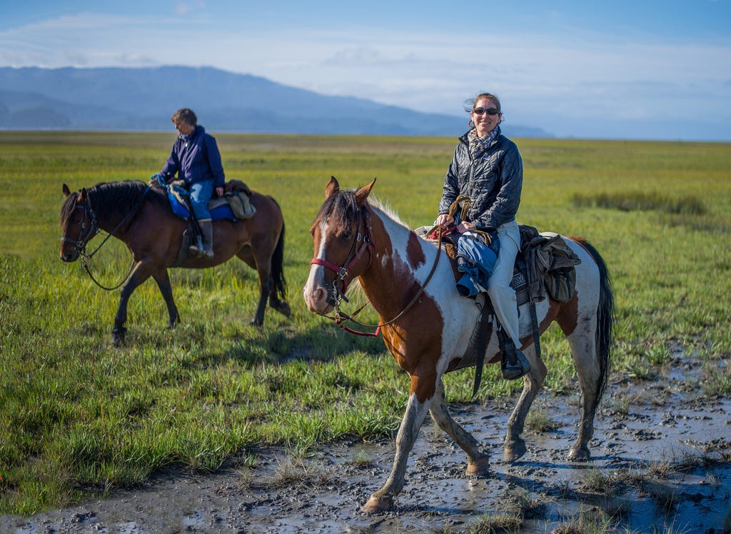 horseback%20rider.jpg
