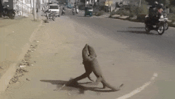 gifs_12.gif