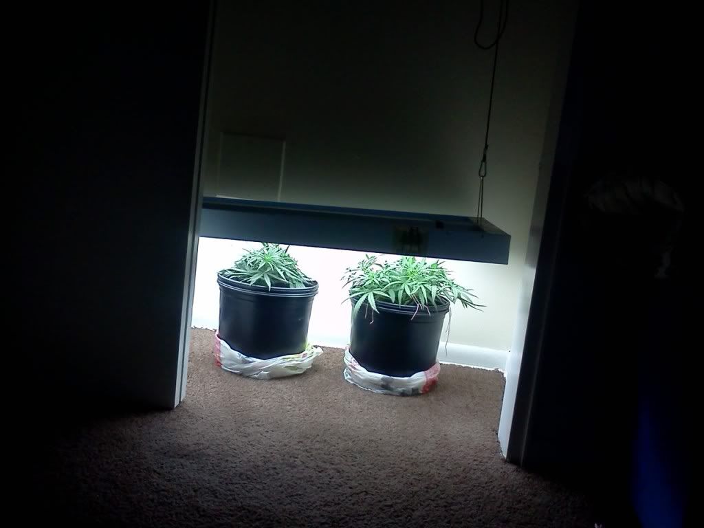 IMG1257.jpg
