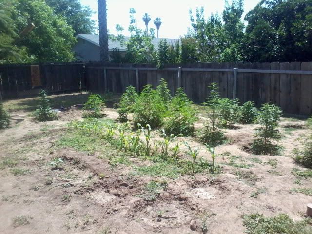 120514_007-1.jpg