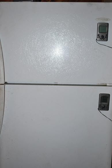 fridge-2.jpg