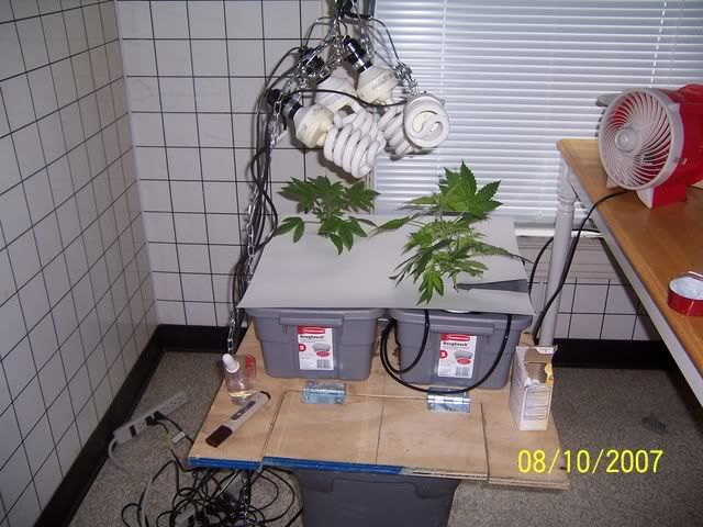 000_1279.jpg