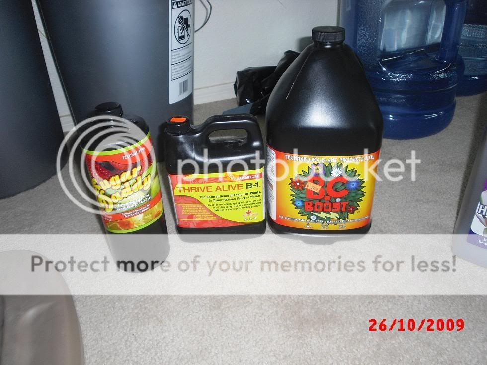 CIMG1192.jpg