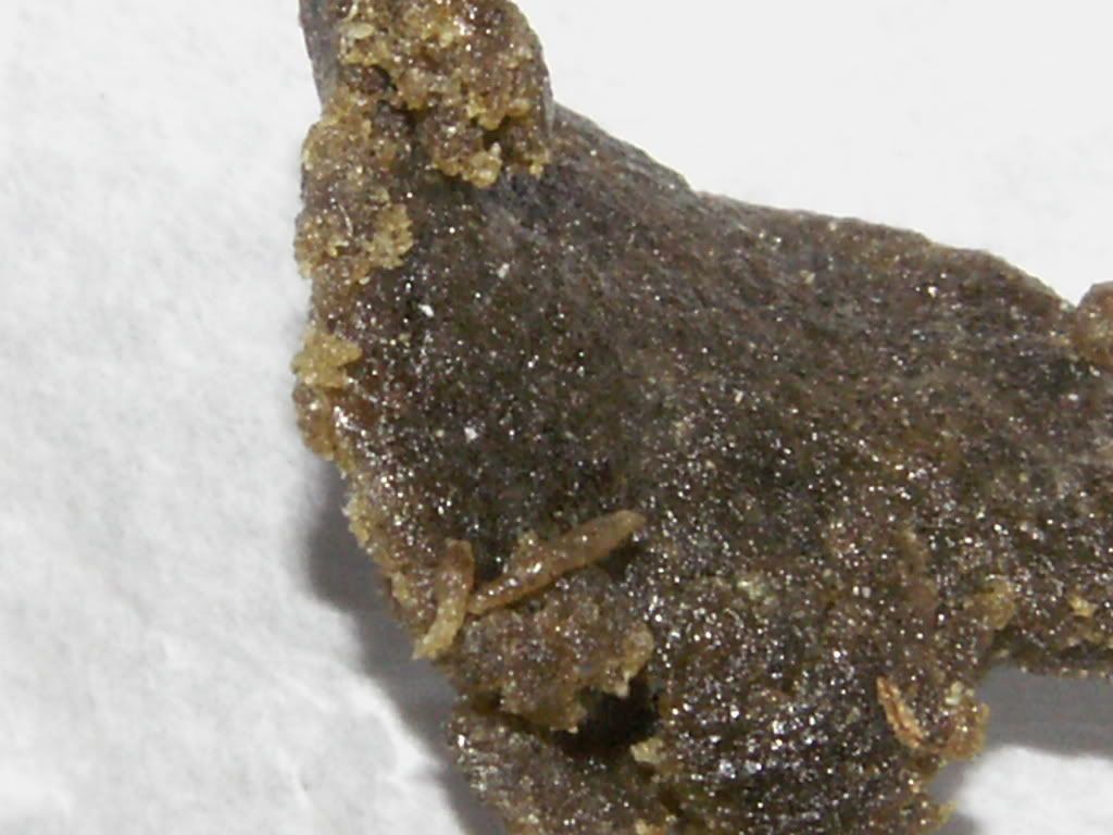 PICT0267.jpg