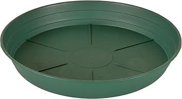 619d8orUo1L._SX355_.jpg
