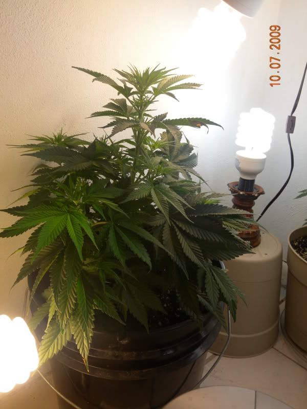 DSCN5543.jpg