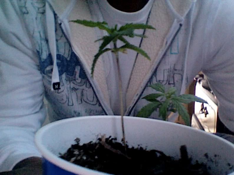 VideoSnapshot-1-1.jpg