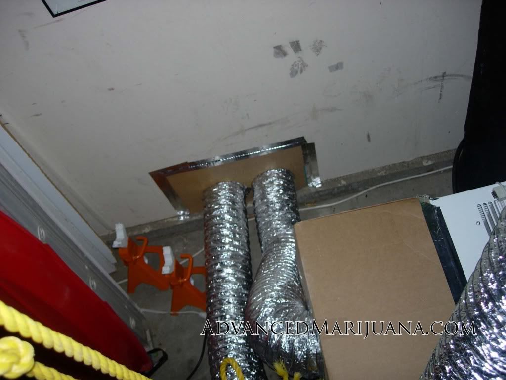 DSCN3819.jpg
