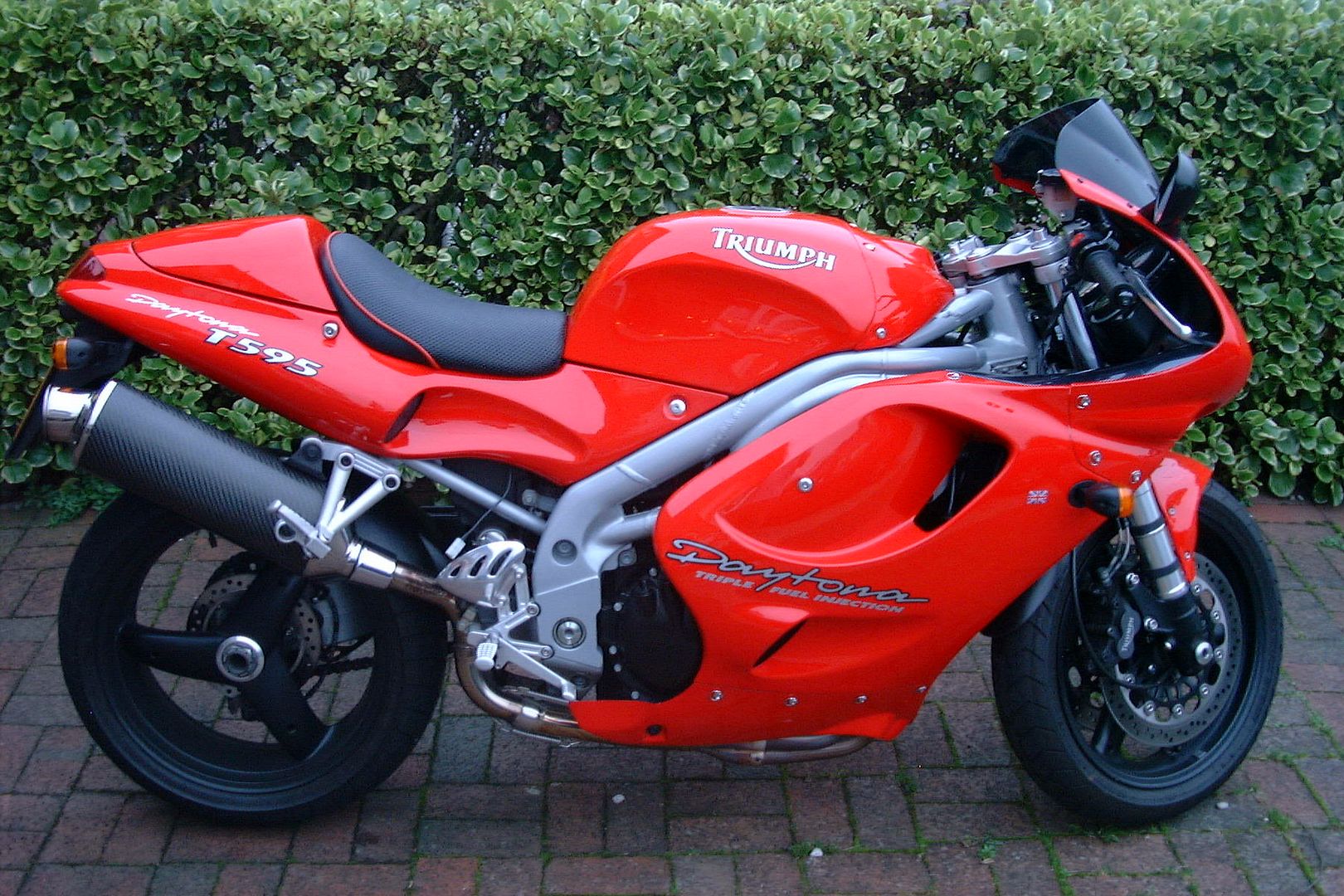 DSCF2513.jpg
