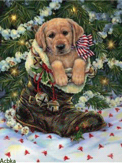 tumblr_mybt5ltM9W1rtrpbvo1_250.gif