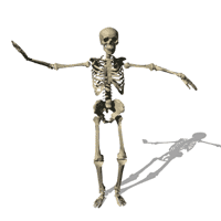 skeleton_dancing_lg_nwm.gif