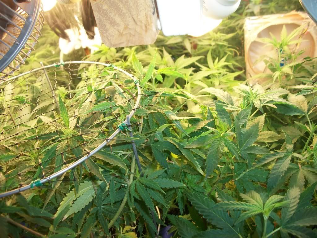 8-30-11002.jpg